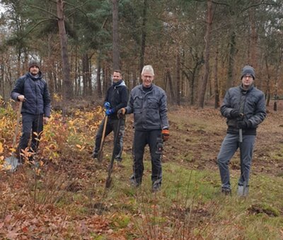 Das Bild zeigt vier Männer bei der Bearbeitung der Flächen rund um die Hünensteine