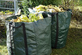 garden-waste-1047259_pixabay_Efraimstochter