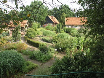 Heilkräutergarten Mai 2023