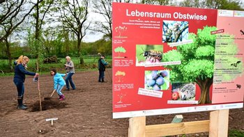 Auf drei Tafeln wie dieser gibt es Infos über das Leben auf der Streuobstwiese. Foto: Sven Lampe