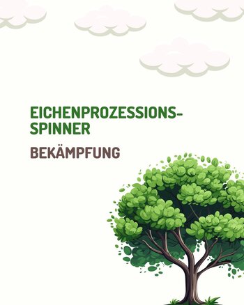 Eichenprozessionsspinner
