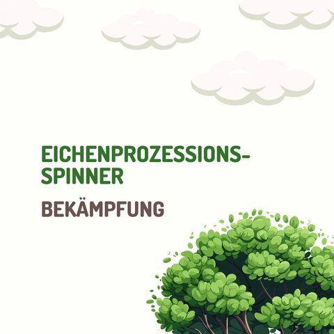Eichenprozessionsspinner
