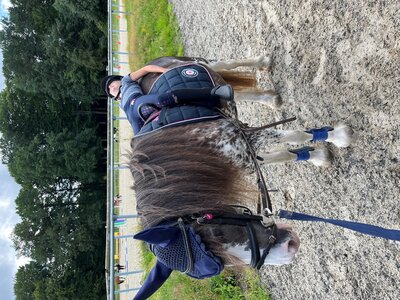 Mädchen liegt auf dem Rücken eines Pferdes während Kurs Reiten für Anfänger